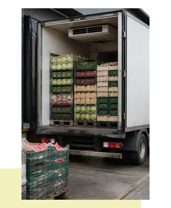 Перевозка плодоовощной продукции оптом напрямую в Гатчину