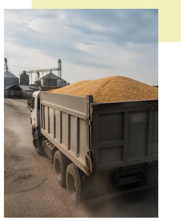 Перевозка сельхозпродукции навалом в Гатчину по цене от 3083 р. | Агросервис-Гтч